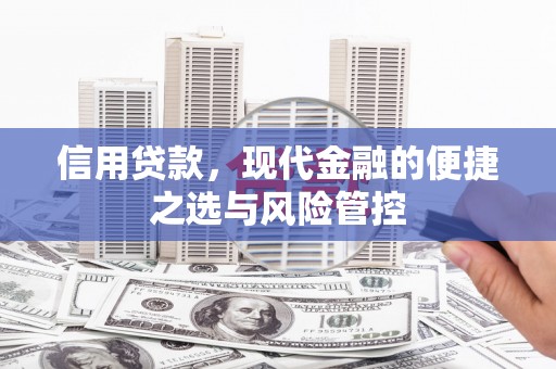自贡信用贷款，现代金融的便捷之选与风险管控