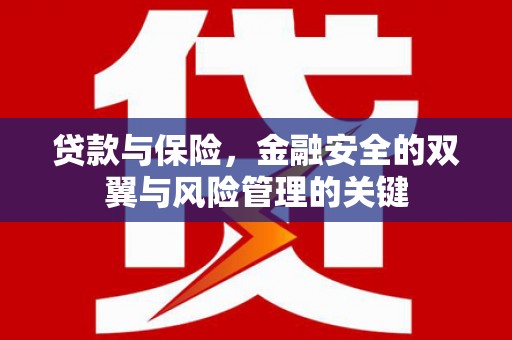 薛城贷款与保险，金融安全的双翼与风险管理的关键