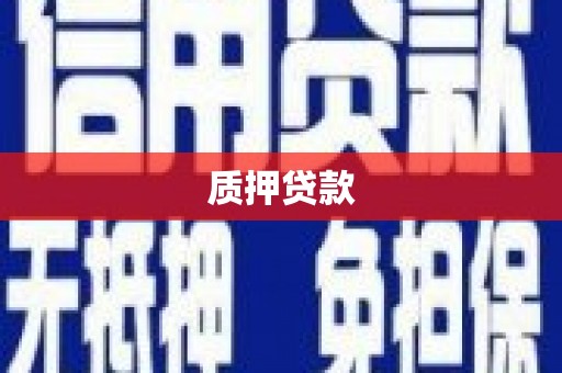 曾都质押贷款