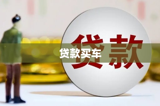 乐东贷款买车