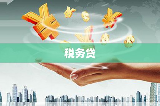 双城税务贷