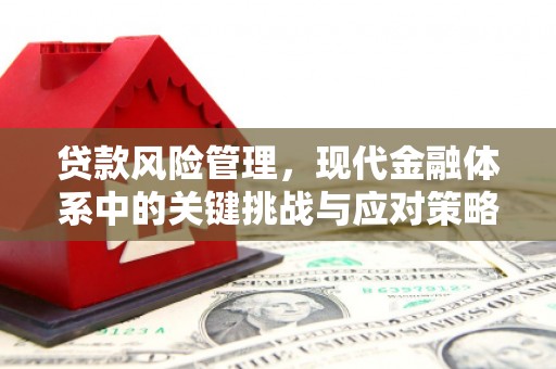 天津贷款风险管理，现代金融体系中的关键挑战与应对策略