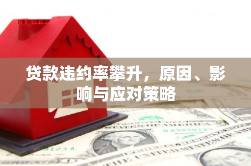 双柏贷款违约率攀升，原因、影响与应对策略