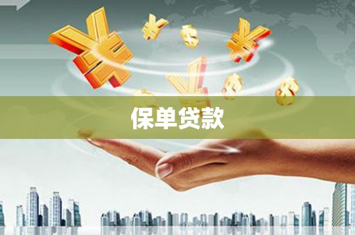 宿松保单贷款
