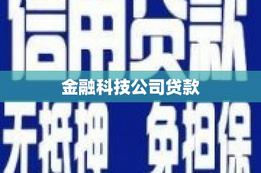 鹿港金融科技公司贷款