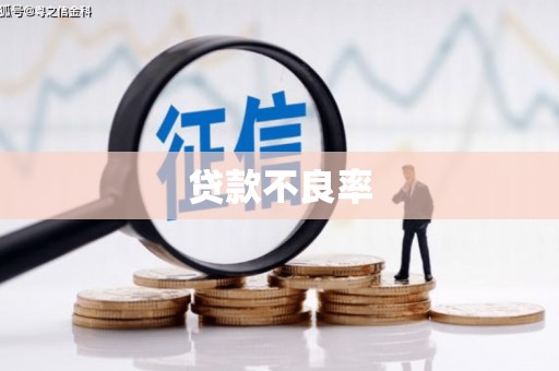 文昌贷款不良率