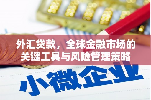 博望外汇贷款，全球金融市场的关键工具与风险管理策略