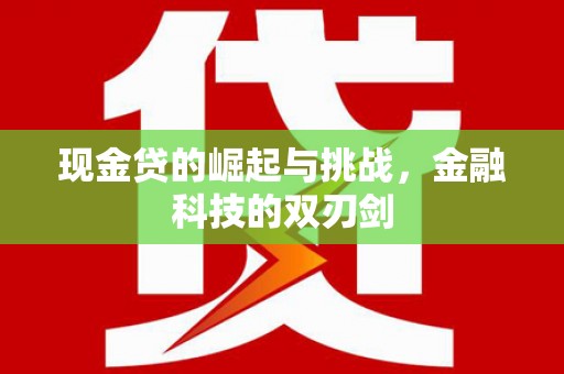 顺庆现金贷的崛起与挑战，金融科技的双刃剑