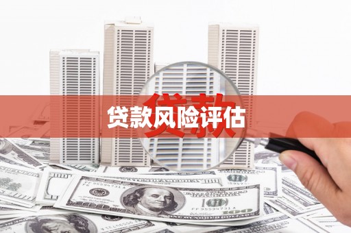 三台贷款风险评估