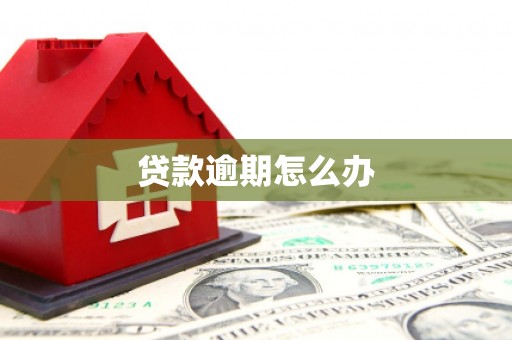 泰安贷款逾期怎么办