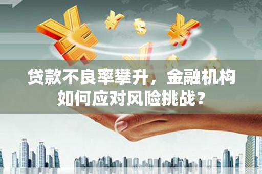 巴青贷款不良率攀升，金融机构如何应对风险挑战？