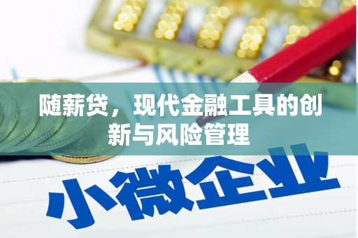 武汉随薪贷，现代金融工具的创新与风险管理