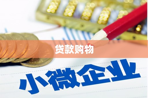 汕尾贷款购物