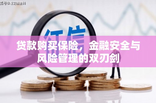 天元贷款购买保险，金融安全与风险管理的双刃剑