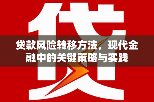 唐县贷款风险转移方法，现代金融中的关键策略与实践