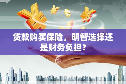 宾川贷款购买保险，明智选择还是财务负担？
