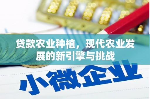 清涧贷款农业种植，现代农业发展的新引擎与挑战
