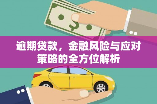 狮潭逾期贷款，金融风险与应对策略的全方位解析