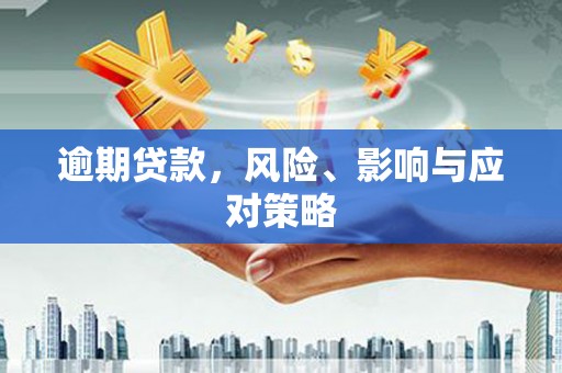 额济纳旗逾期贷款，风险、影响与应对策略