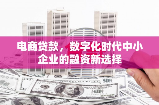 务川电商贷款，数字化时代中小企业的融资新选择