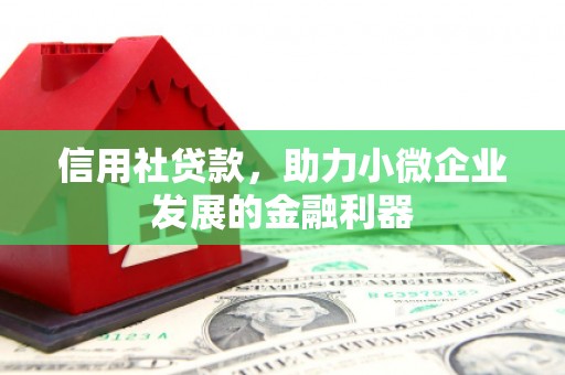 偃师信用社贷款，助力小微企业发展的金融利器