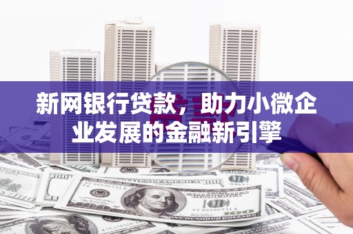 邵东新网银行贷款，助力小微企业发展的金融新引擎