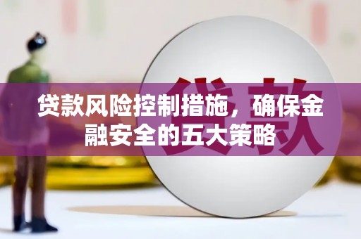 善化贷款风险控制措施，确保金融安全的五大策略