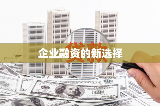 镇康企业融资的新选择