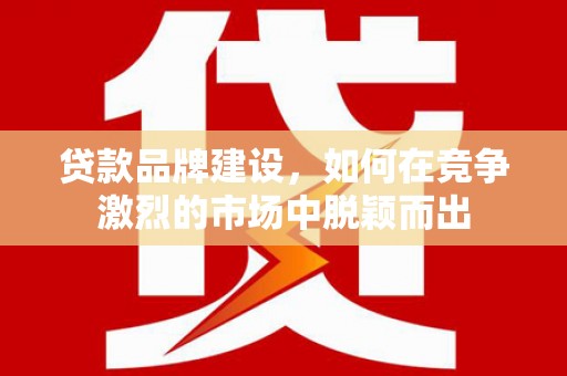 塔河贷款品牌建设，如何在竞争激烈的市场中脱颖而出