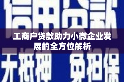 苍南工商户贷款助力小微企业发展的全方位解析