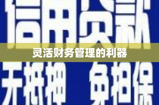 松溪灵活财务管理的利器