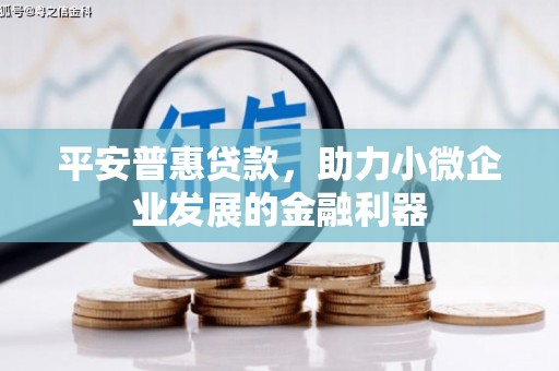 荣县平安普惠贷款，助力小微企业发展的金融利器