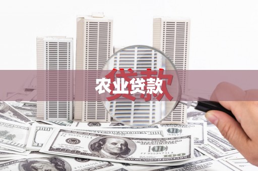 应县农业贷款