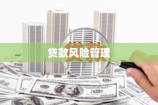 将乐贷款风险管理