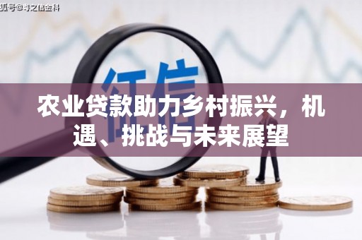 沂南农业贷款助力乡村振兴，机遇、挑战与未来展望