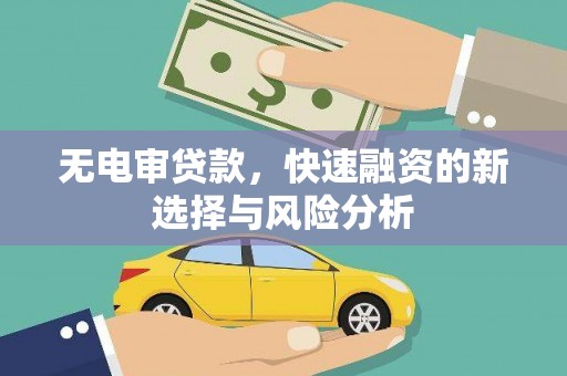 遂昌无电审贷款，快速融资的新选择与风险分析