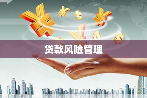 枋寮贷款风险管理