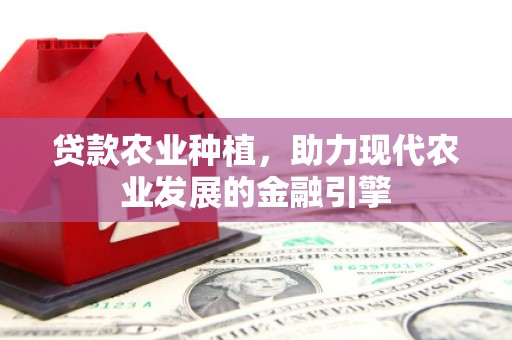 潭子贷款农业种植，助力现代农业发展的金融引擎