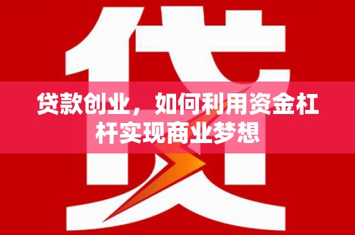 金阳贷款创业，如何利用资金杠杆实现商业梦想