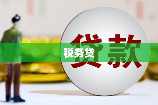 荔城税务贷