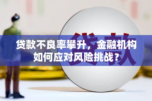 达日贷款不良率攀升，金融机构如何应对风险挑战？