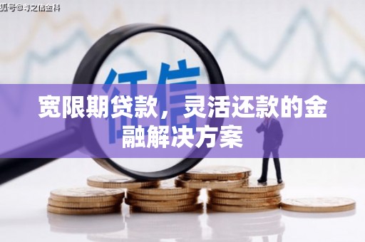 安南宽限期贷款，灵活还款的金融解决方案