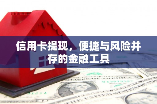 科尔沁左翼后旗信用卡提现，便捷与风险并存的金融工具