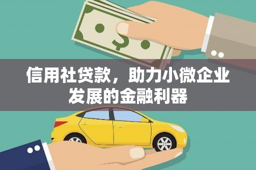 台安信用社贷款，助力小微企业发展的金融利器