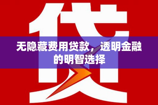 沾化无隐藏费用贷款，透明金融的明智选择