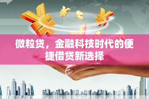 靖宇微粒贷，金融科技时代的便捷借贷新选择