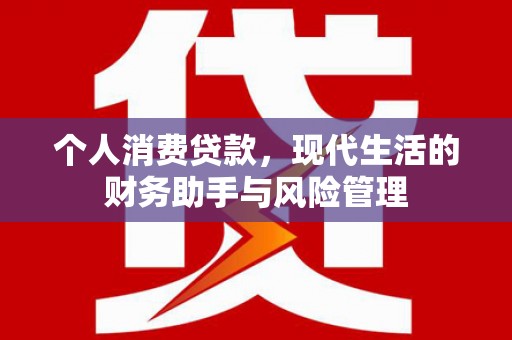 新巴尔虎左旗个人消费贷款，现代生活的财务助手与风险管理