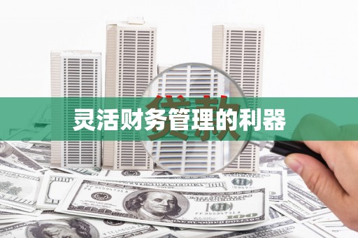广水灵活财务管理的利器