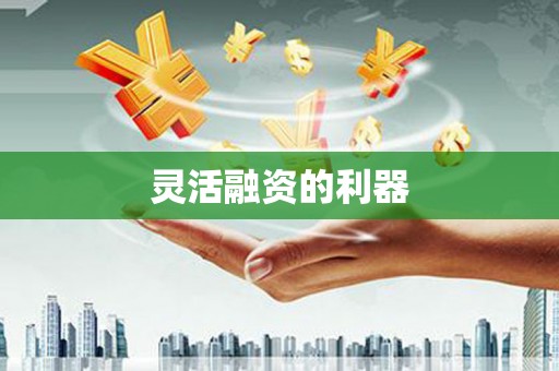 定安灵活融资的利器