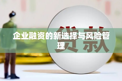 新会企业融资的新选择与风险管理